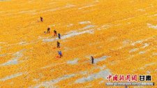 張掖農(nóng)產(chǎn)品品牌建設成效顯著 多品種注冊地理標志商標